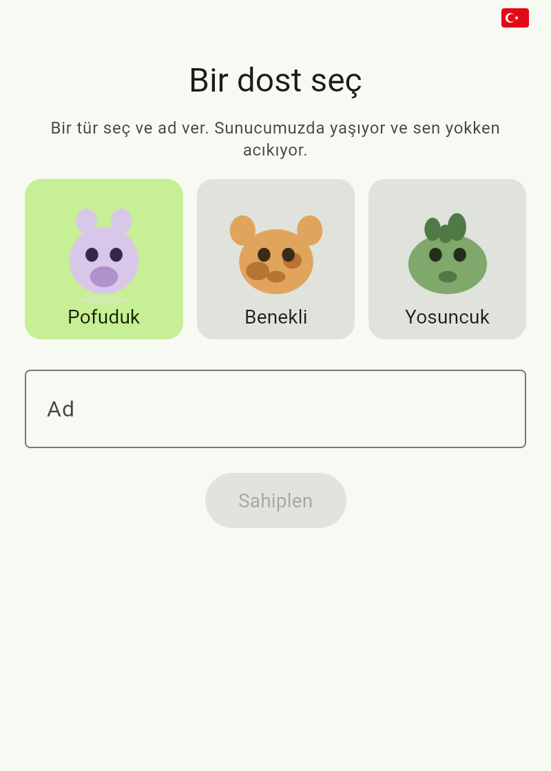 Pet Game ekranı